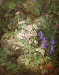 Stort stilleben med alpina blommor